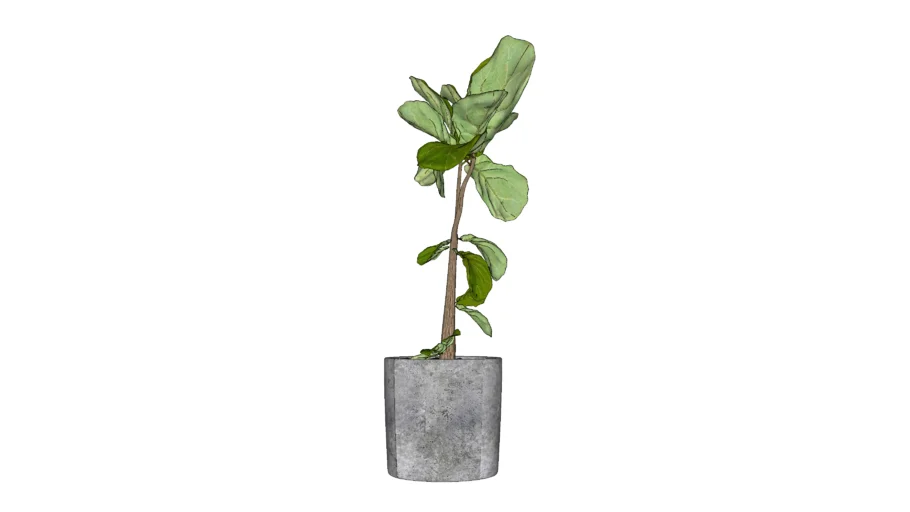 VASO PLANTA 08