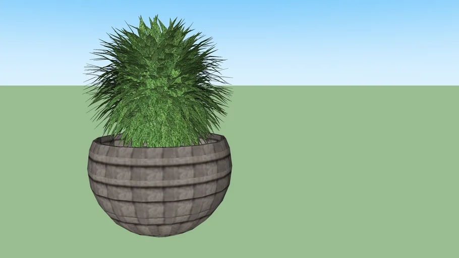 vaso planta