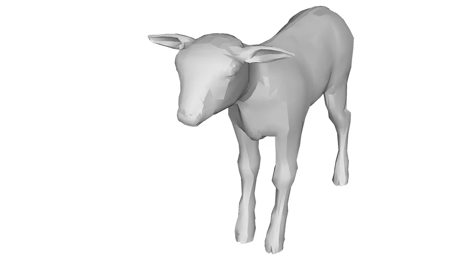 Animal - Lamb 