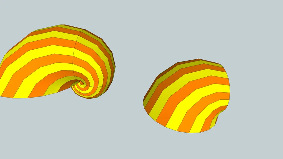 Seashell