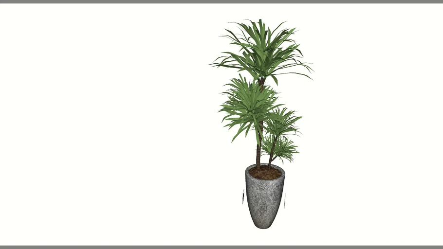 Dracaena draco in vase  --  V-Ray Ready