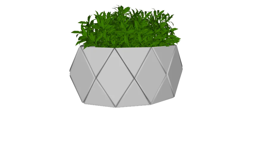 vaso planta