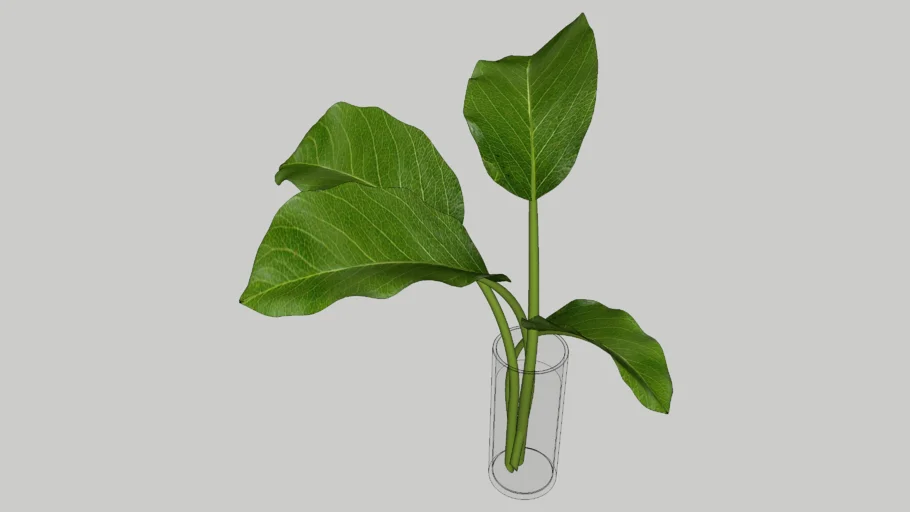 GLASS VASE WITH LARGE GREEN LEAVES
