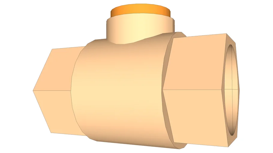 Check Valve