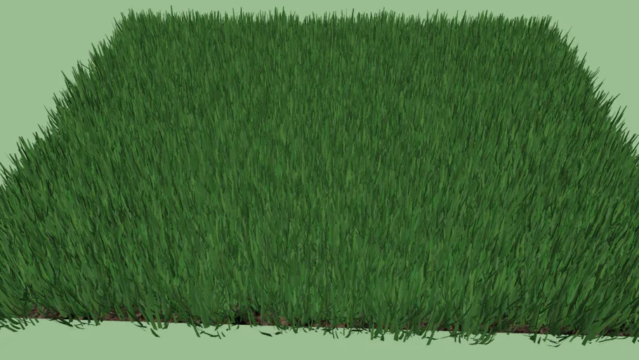Grass