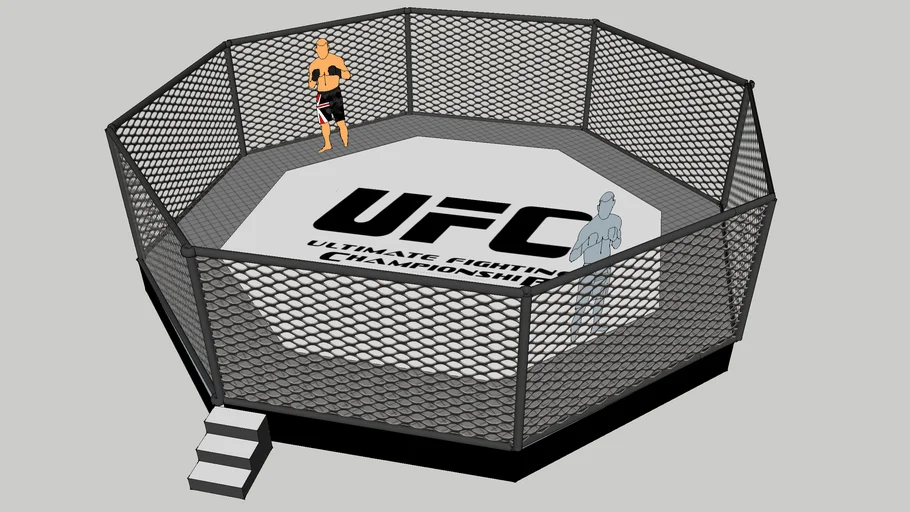 ufc octagon