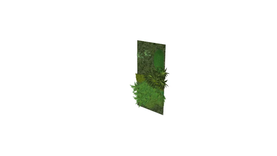 Garden Green Wall