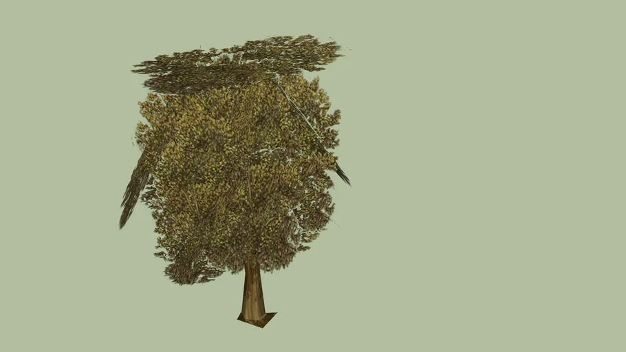 tree