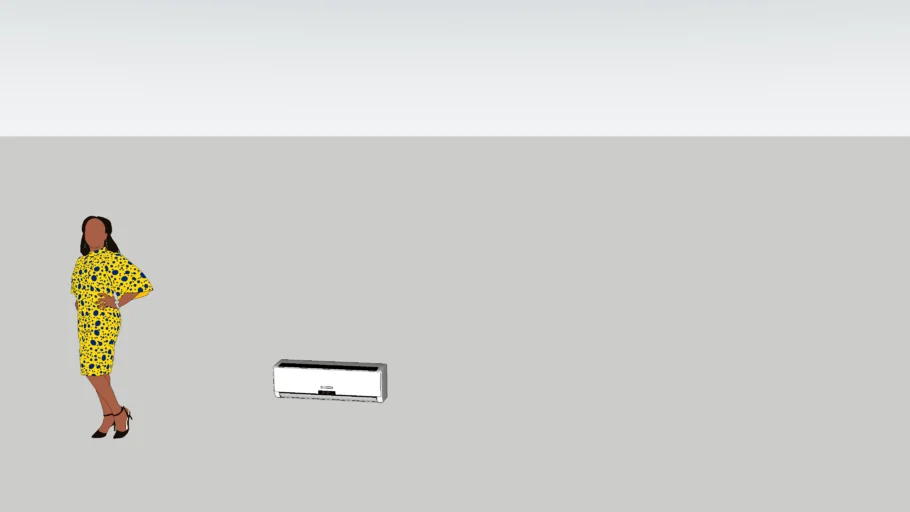 Minisplit