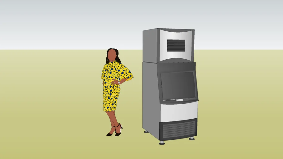 Ice Maker & Bin