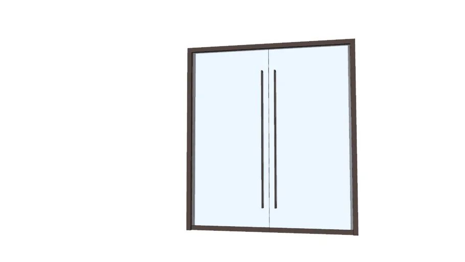 DOUBLE COMMERCIAL GLASS DOOR