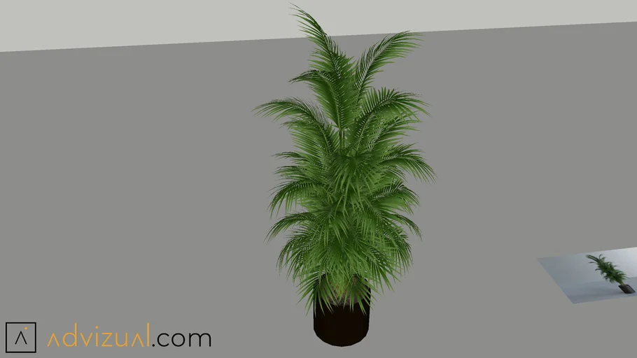 Plant (V-Ray Ready)