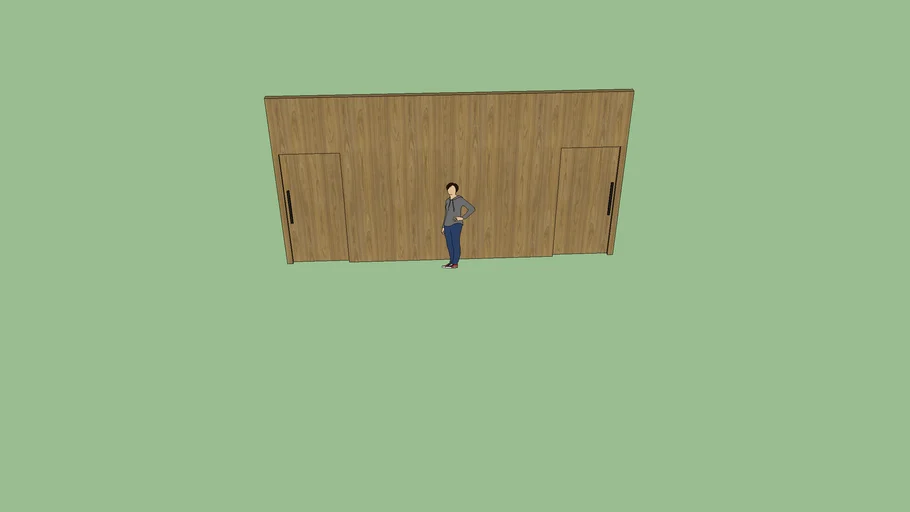 PAINEL COM PORTA DE CORRER DUPLA