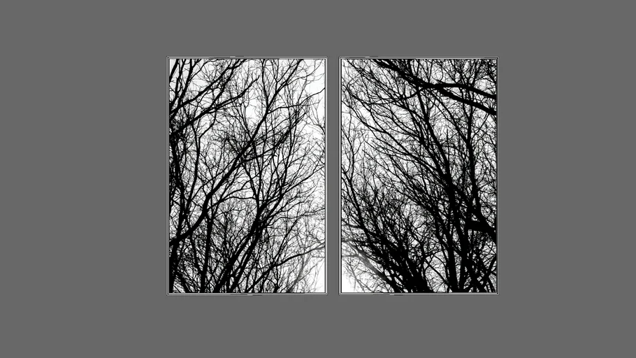 QUADRO NATUREZA ÁRVORES GALHOS SECOS PELO CAMINHO - EM PRETO E BRANCO - BIMPER