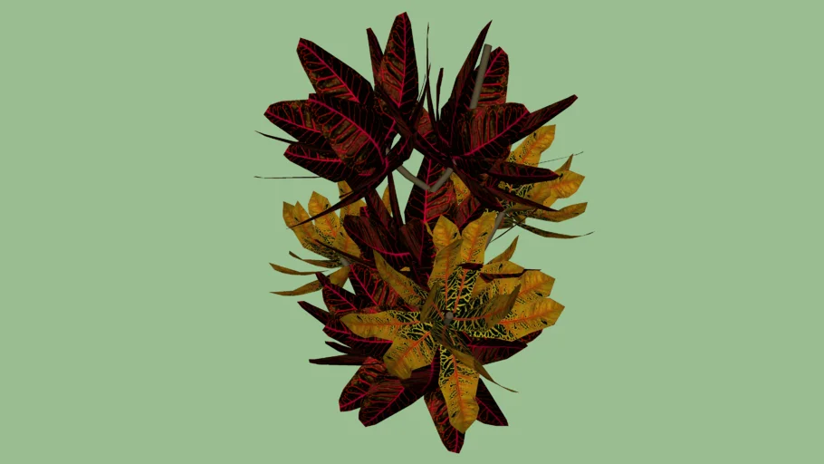 CROTON