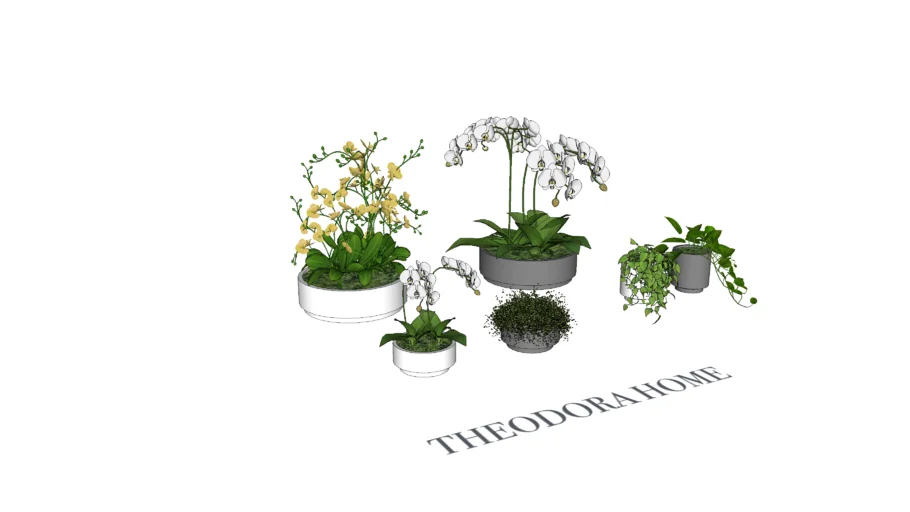 Cachepot e Vaso Orquidarium