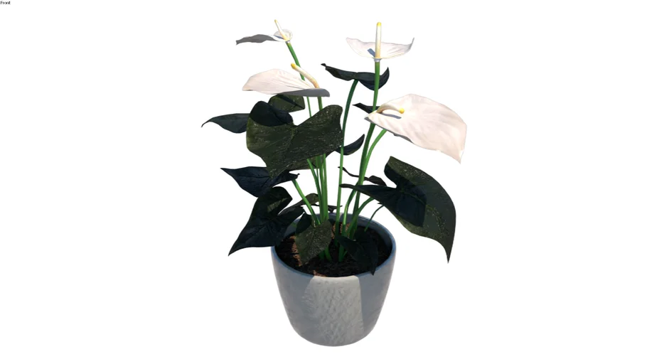 lavender plants indoor Planters With Lavender | Faux Plants