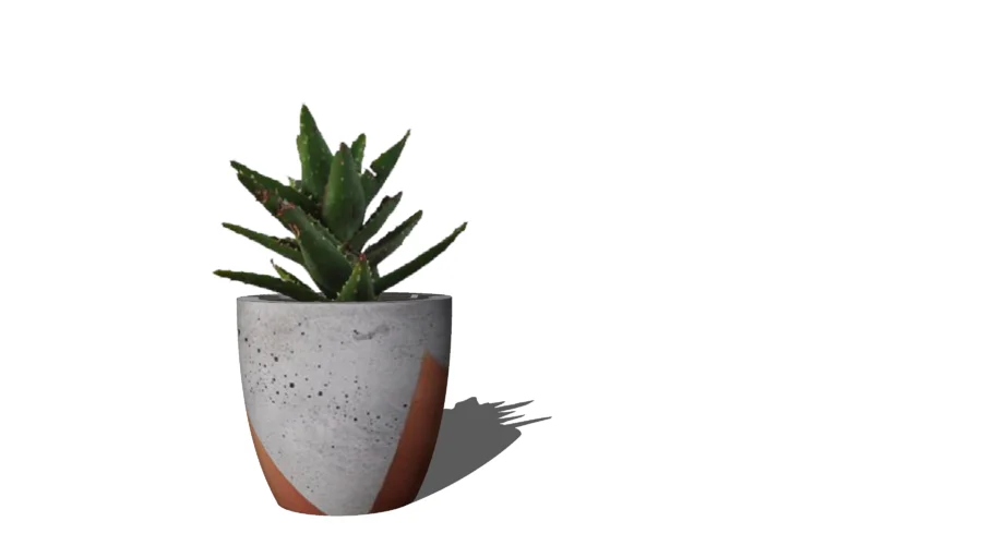 Plant_pot