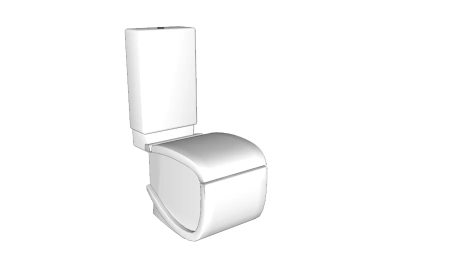 modern toilet