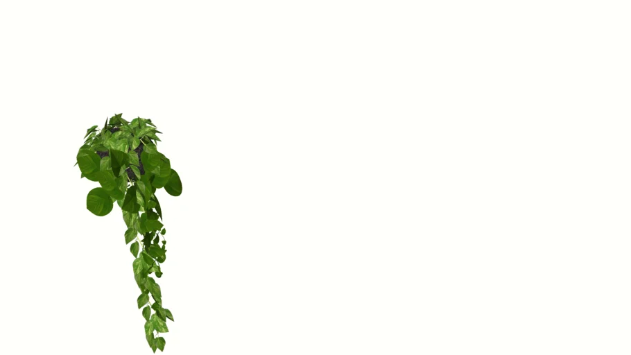 Hanging Plant GHD