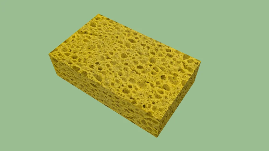 Sünger, Sponge