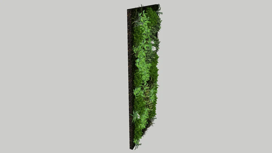 parede verde