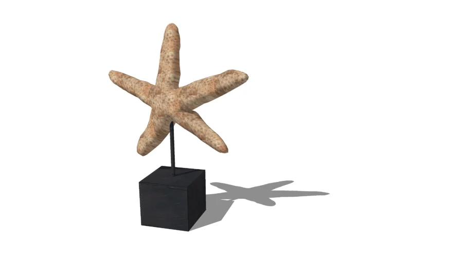 starfish statue