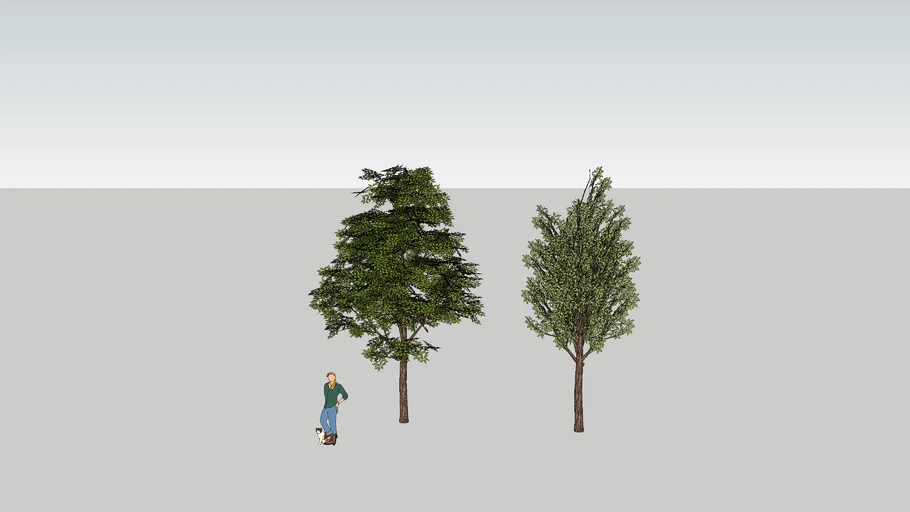 Low poly trees