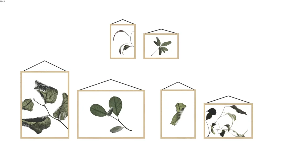 Moebe plant frames