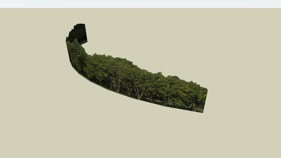 Nature Forest Background for Architecture