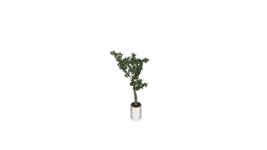 Faux Olive Tree