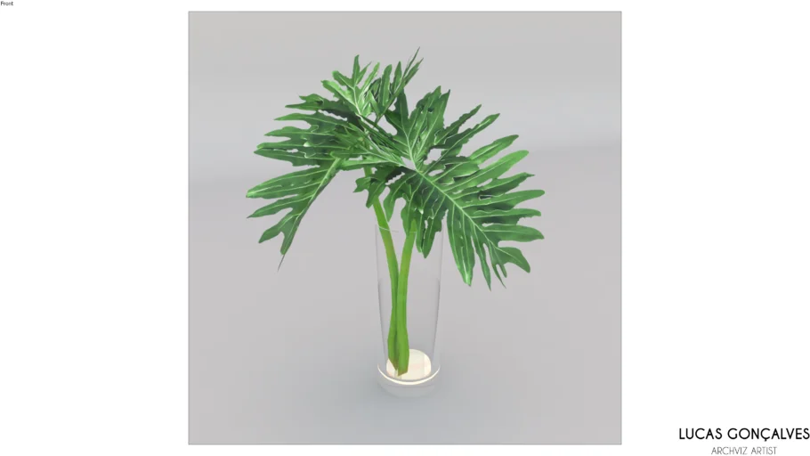 VASO COM PLANTA