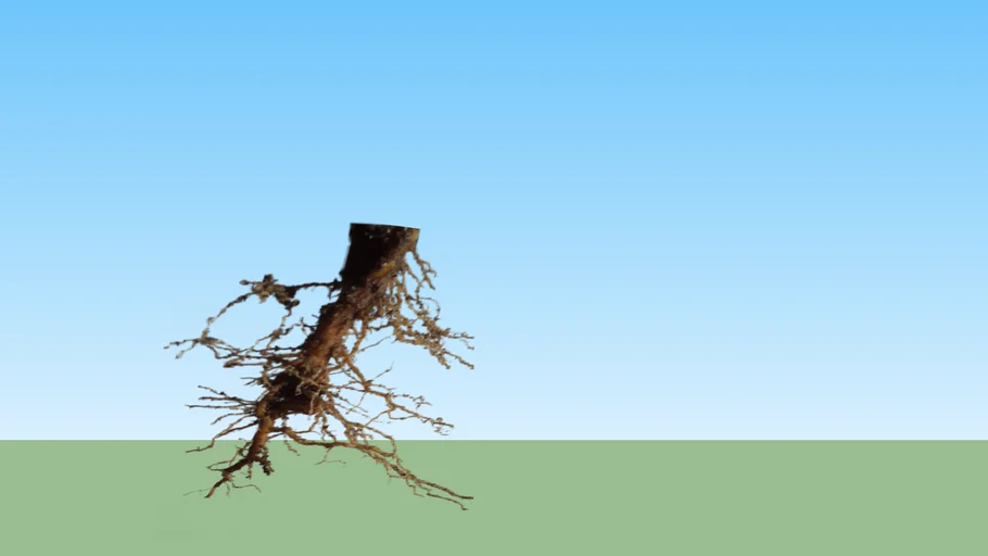 Roots - Model 5