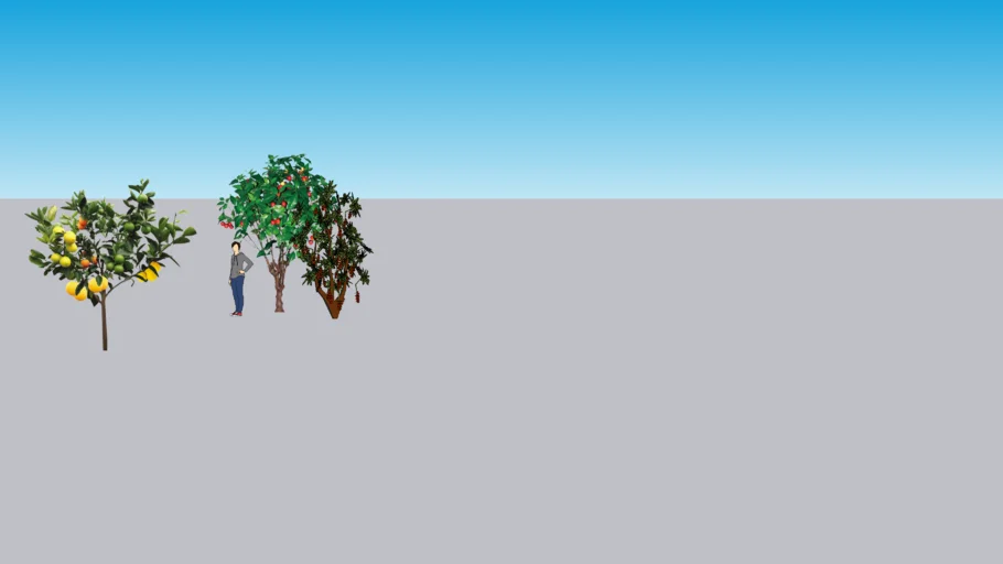 Fruit Trees