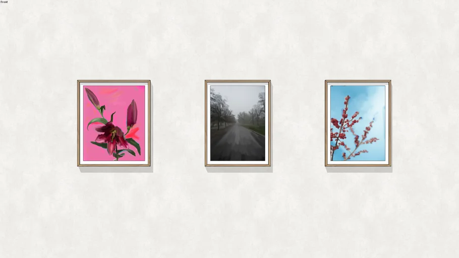 Framed prints by William Selden no.2