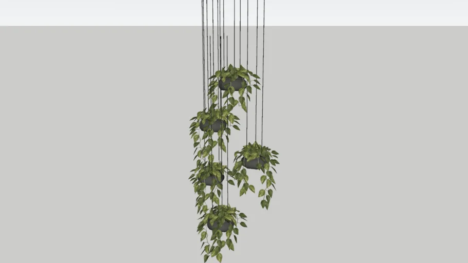 plantas suspensas