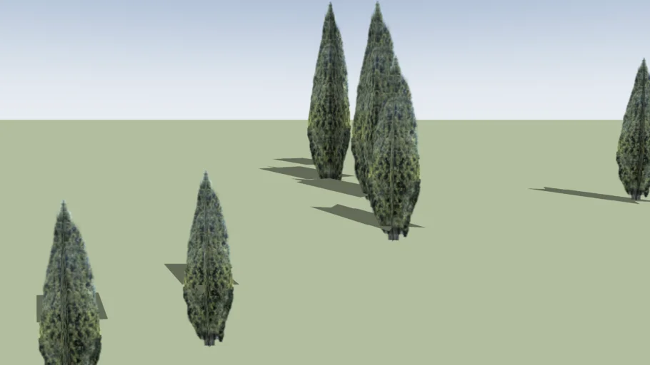 Arbres