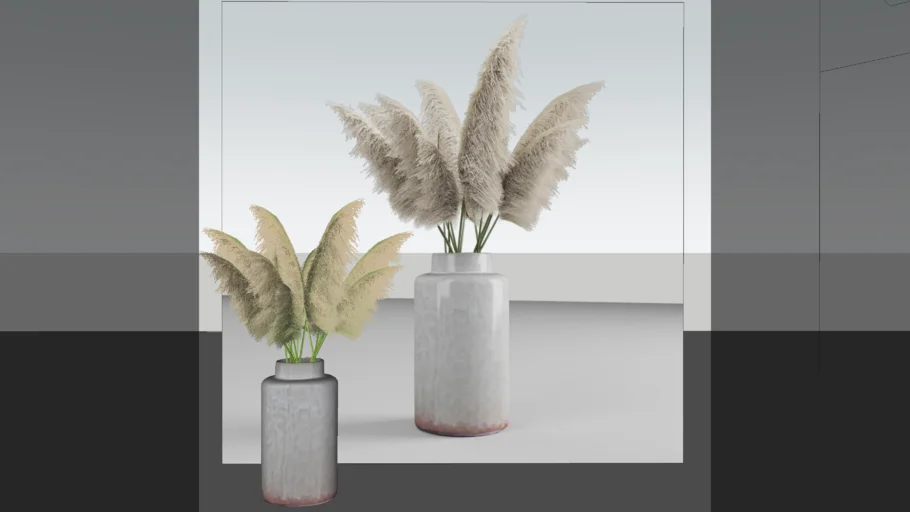 Pampas Grass