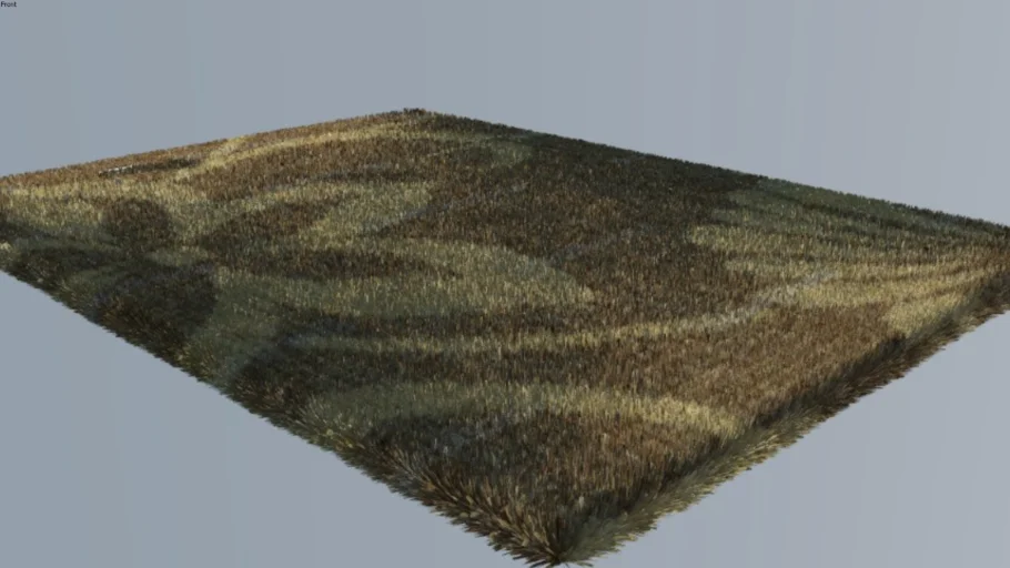 Realistic Furry Carpet