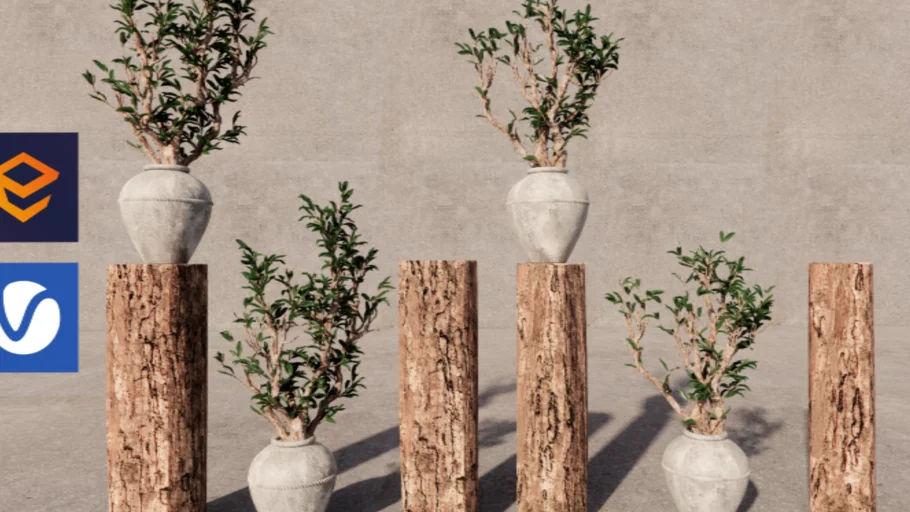 Enscape_House Plant_AM260_003