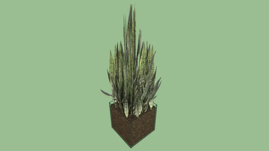 Espada de São Jorge