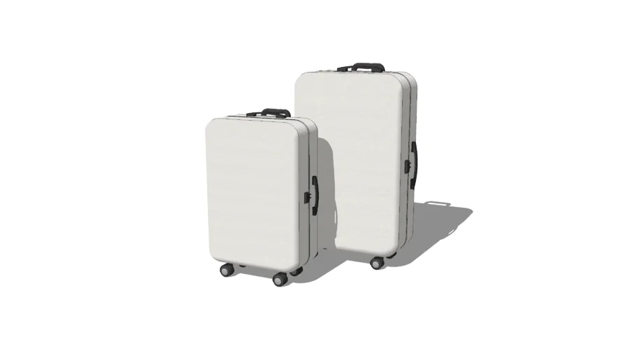 LUGGAGE BAG