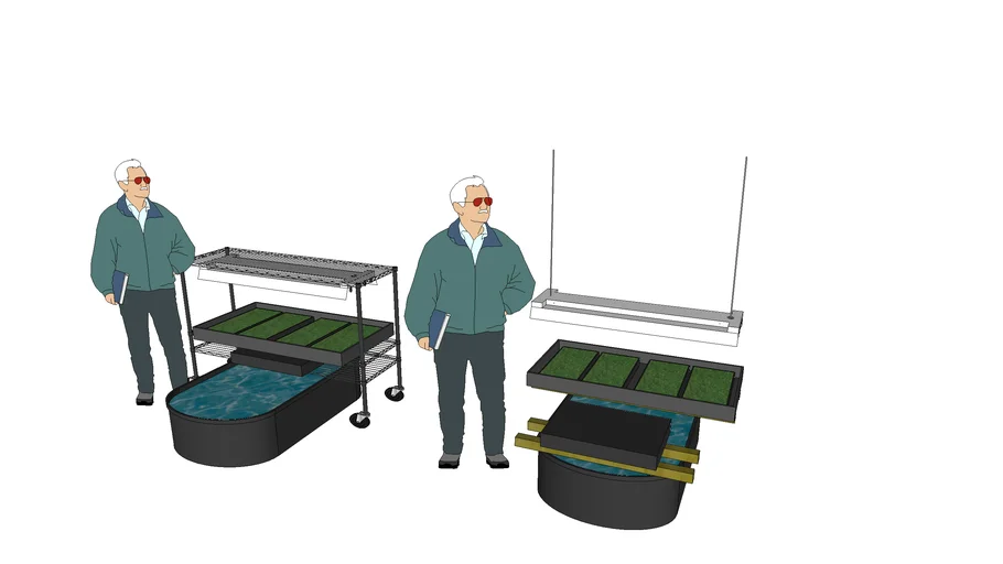 Simple Home Aquaponics System For Idoor Gardening
