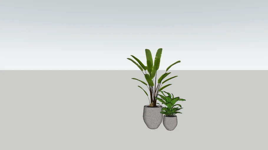 Potted Plants