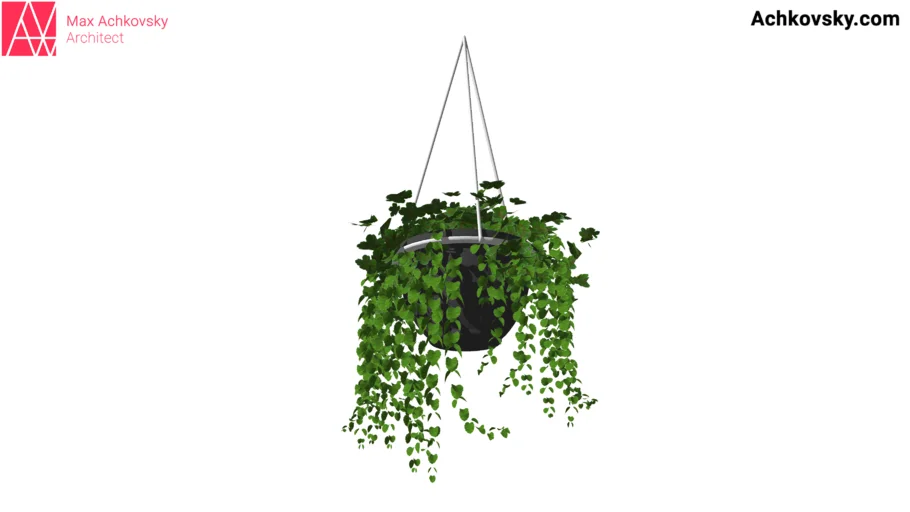 Hanging flower