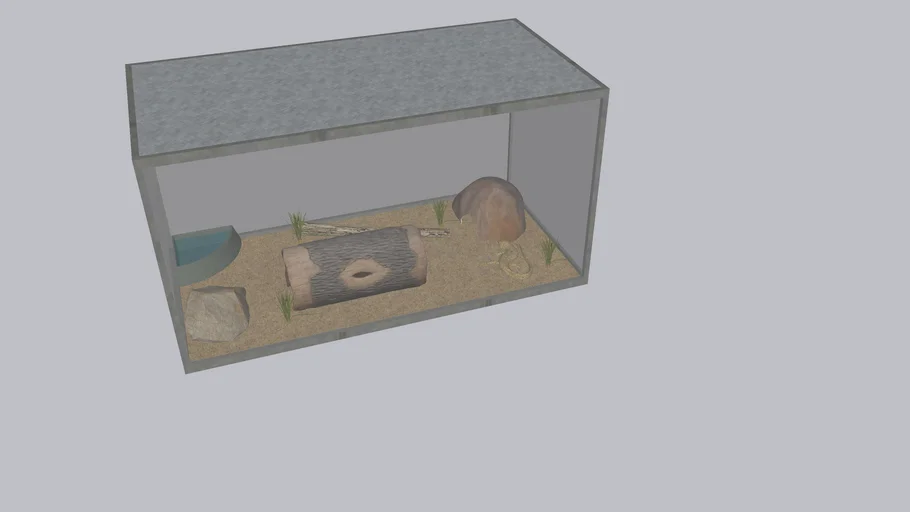 Skink Terrarium