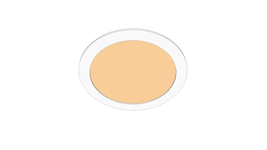 Ceiling Light
