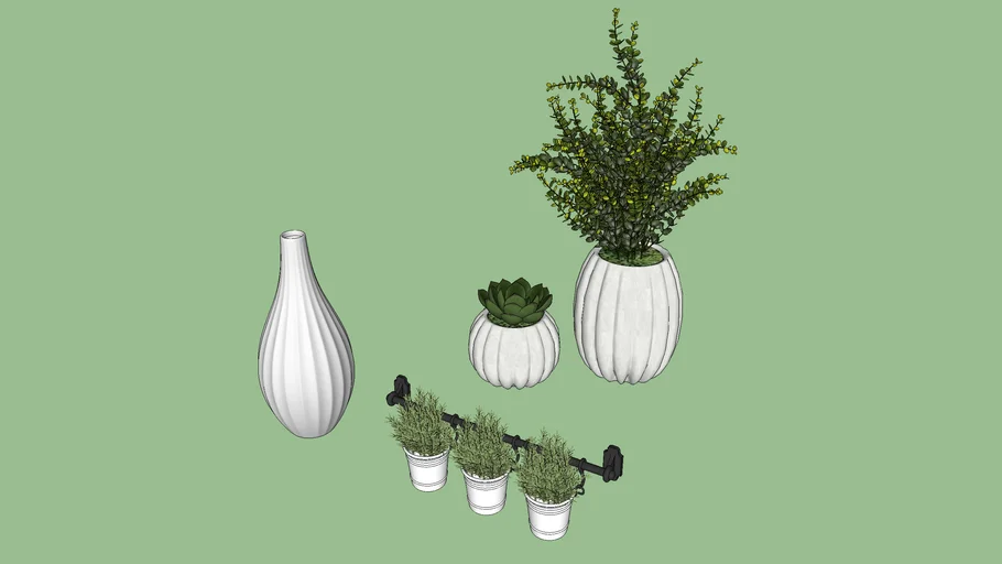 Planta, Vaso, decoração 5