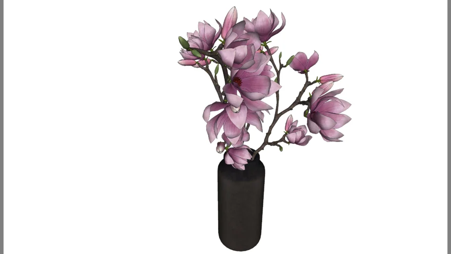 Flor cor Rosa