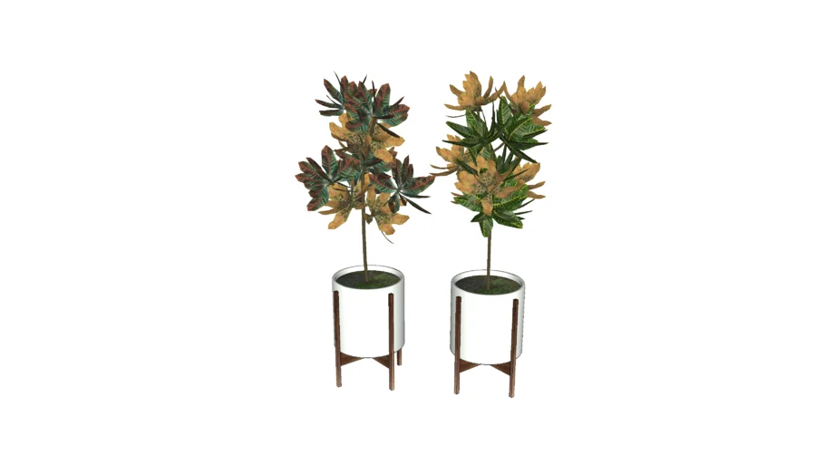 potted plants